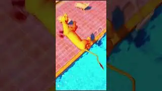 Nala jumps into the pool from a high place and Simba crashes into the car #shorts