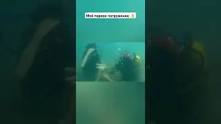 Мы на дайвинге / Лето 2024