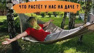 •VLOG• ЧТО РАСТЕТ У НАС НА ДАЧЕ?