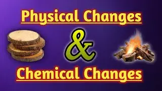 Physical Changes and Chemical Changes | class 9 #science #animation #class9