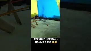 ТРЯХНУЛ КОРМАК- ПОЙМАЛ ЯЗЯ #рыбалка #река #тайга #зима #подсечка #лунка #язь #здоровенныйязь #кормак