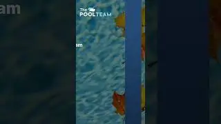 Prep your Pool for Winter!