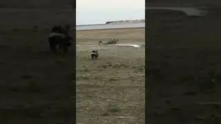 Добытчик!!!