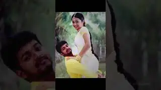 Vijay ❤️Trisha shalala song whatsapp status #vijay #trisha #gillimovie @tamileditting