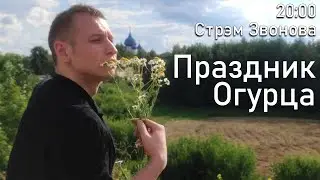 Праздник Огурца и ответы на вопросы - стрим Звонова (25.07.2022)