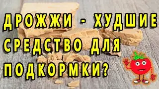 ДРОЖЖИ - ХУДШИЕ СРЕДСТВО ДЛЯ ПОДКОРМКИ?