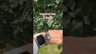 Отзыв от Зои г. Львов