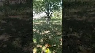 Малыш растёт 🙈😍