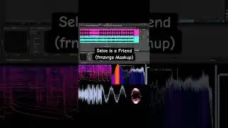 Selos vs. Trouble is a Friend (frnzvrgs Mashup) #shorts #remix #selos #troubleisafriend #mashup