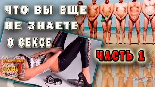 Сексуальные подробности, или чего вы не знали о сексе