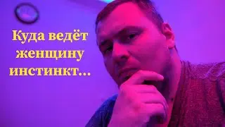 Печальная история красивой девушки в компании плохих парней