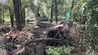 A walking tour of our property