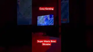 Cozy Night Gaming - Nintendo Switch Edition 
