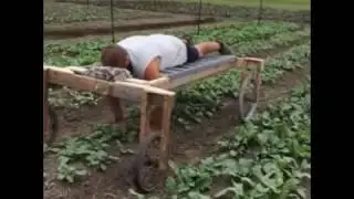 🤣 А вы как пропалываете грядки?