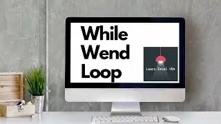 Excel VBA - While Wend Loop