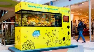Франшиза Море желаний