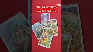 ЧТО НУЖНО ЗНАТЬ ЗДЕСЬ И СЕЙЧАС #таро #картадня #гороскоп #прогнознасегодня #гороскоп #прогноз