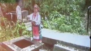 Тядянь-алянь мастор