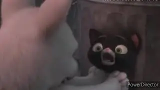 Вольт поймал кошку Варежку/Bolt caught the cat Varezhka