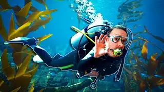 This felt so real! VR diving!