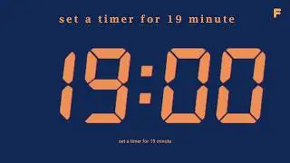 set a timer for 19 minute