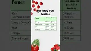 График посева томатов в разных регионах