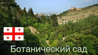 Ботанический сад в Тбилиси - 15 апреля 2023