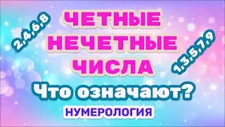Четные и нечетные числа в нумерологии. Что это значит