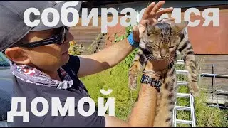 Пытаемся выехать домой