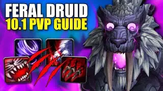 10.1 Feral Druid Dragonflight PvP Guide | Talents, Gearing, Rotation and MORE!