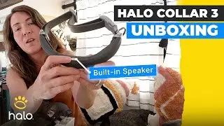 RVing? Never Lose Your Dog Again! Halo Collar Unboxing & First Look @CalledToWander