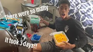 I organized all my legos (super satisfying)