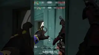 These Valorant Players Will Leave You Speechless... 