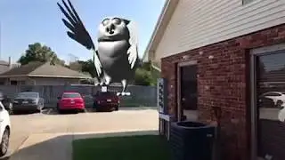 MOTH AR test