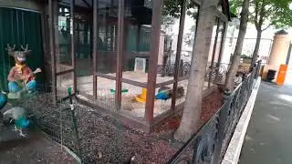 Простой московский двор