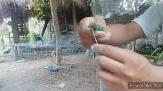 D.I.Y rabbit cage|guage 16 welded wire|fast forward making of rabbit cage