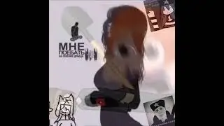 Xnwqp reborn.