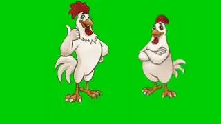 Hen green screen animation@Editor G