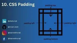 Episode 10 Mastering HTML Padding-top, padding-left, padding-right, padding-bottom 