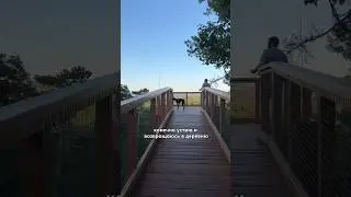 Жить в городе или в деревне 
