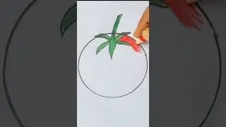 Beautiful Tomato Drawing | Easy Drawing | Step By Step || Farhana Drawing