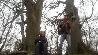 Parasite - Hascombe Beeches (live at Hascombe Beeches)