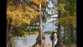 云南大理 explore autumn in Yunnan 🍁old towns, local food, markets & mushrooms🍄‍🟫 relaxing travel VLOG