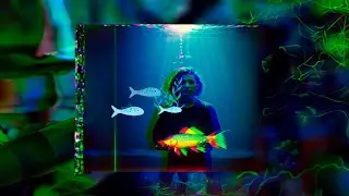 Дэвид Линч. Не боритесь с тьмой. Не беспокойтесь о ней. Включите свет #свет #тьма #гармония #свобода