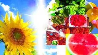 Vegan Recipes for Beginners - 50+ Meals - Weight Loss - Oil Free, Cure All Diet for Life