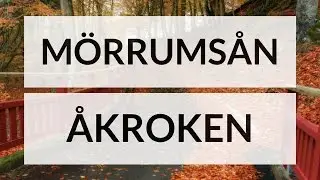 Höstbilder från Åkroken vid Mörrumsån