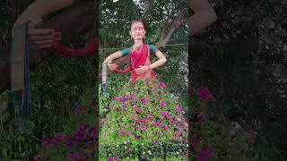Semmozhi Poonga (Park) - Flower Show (2024) #semmozhipoonga #flowershow2024