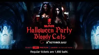 Mr.FOX Halloween Party 2023 | Mr.FOX Live House