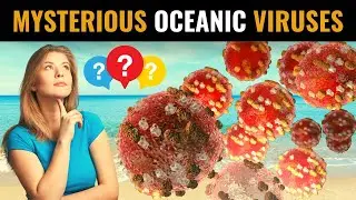Mysterious Mirusviruses Found in Oceans | Origin of Herpesviruses | Tara Oceans Expedition