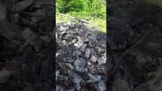 видео для Рен ТВ